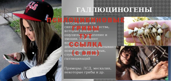 хмурый Алексеевка
